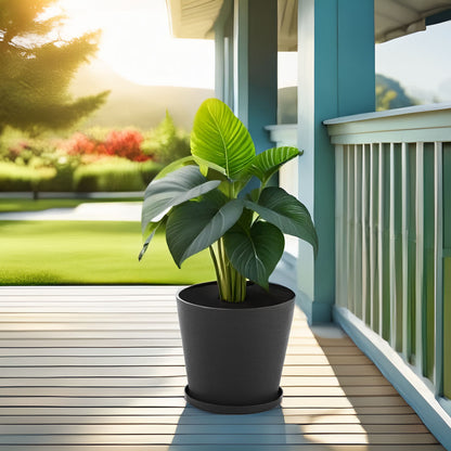 VASO ROTONDO LILIUM